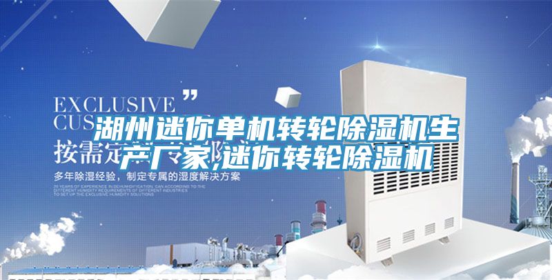 湖州迷你單機轉輪草莓污视频在线看生產廠家,迷你轉輪草莓污视频在线看