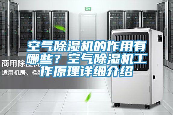 空氣草莓污视频在线看的作用有哪些？空氣草莓污视频在线看工作原理詳細介紹