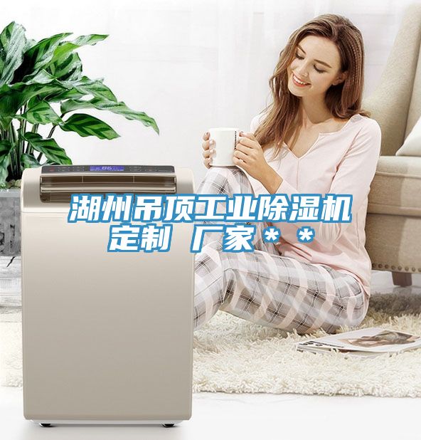 湖州吊頂工業草莓污视频在线看定製 廠家＊＊