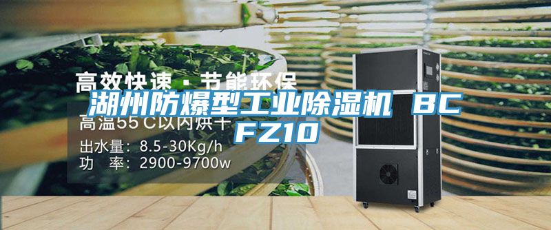 湖州防爆型工業草莓污视频在线看 BCFZ10