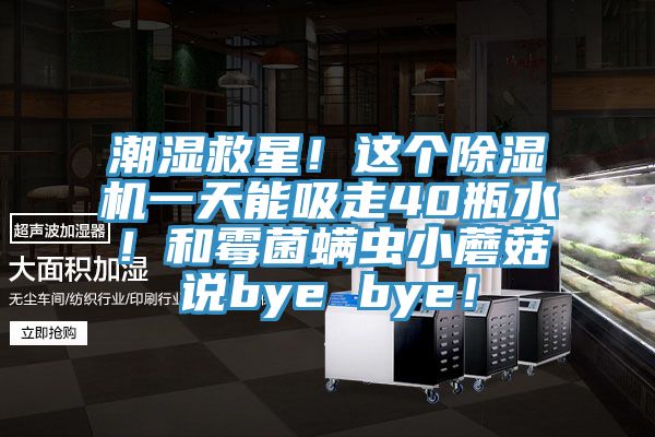 潮濕救星！這個草莓污视频在线看一天能吸走40瓶水！和黴菌蟎蟲小蘑菇說bye bye！