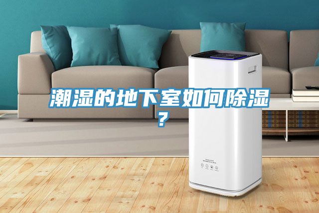 潮濕的地下室如何除濕？