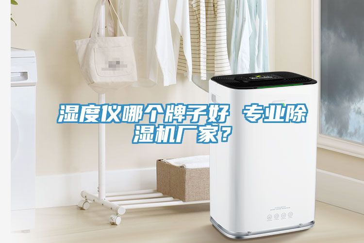 濕度儀哪個牌子好 專業草莓污视频在线看廠家？