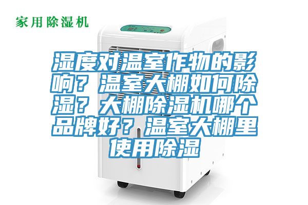 濕度對溫室作物的影響？溫室大棚如何除濕？大棚草莓污视频在线看哪個品牌好？溫室大棚裏使用除濕