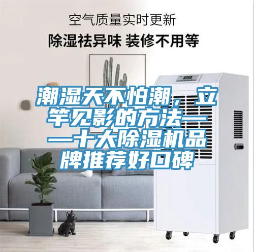 潮濕天不怕潮，立竿見影的方法——十大草莓污视频在线看品牌推薦好口碑