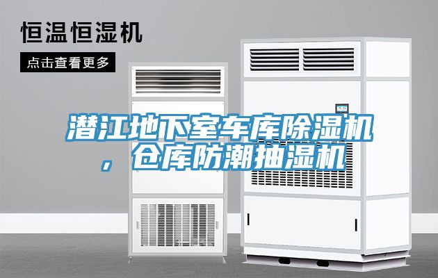 潛江地下室車庫草莓污视频在线看，倉庫防潮抽濕機