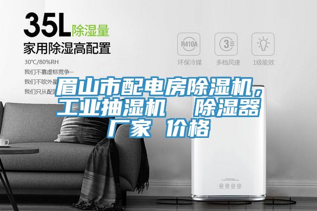眉山市配電房草莓污视频在线看，工業抽濕機  除濕器廠家 價格