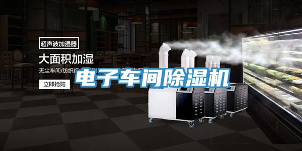 電子車間草莓污视频在线看