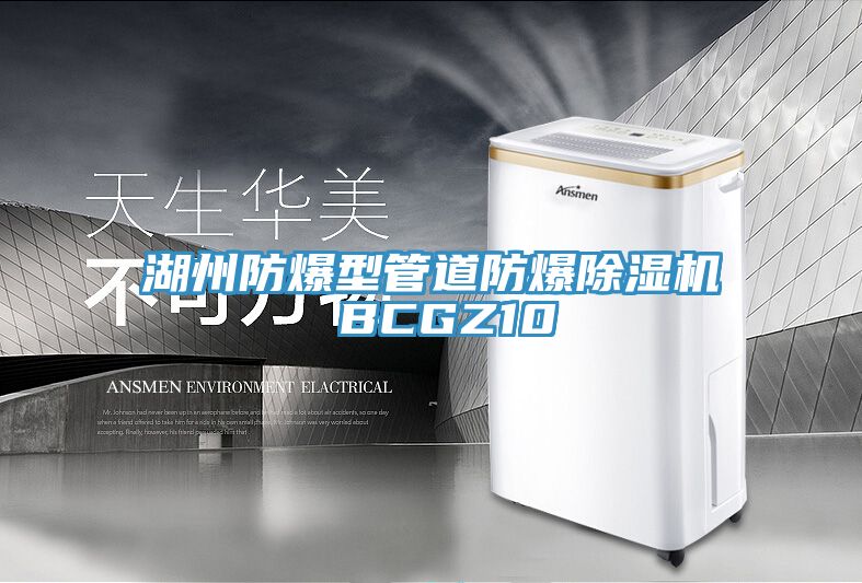 湖州防爆型管道防爆草莓污视频在线看 BCGZ10