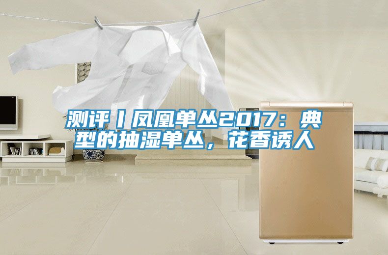測評丨鳳凰單叢2017：典型的抽濕單叢，花香誘人