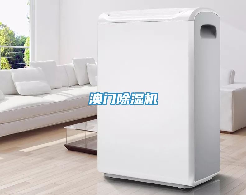 澳門草莓污视频在线看