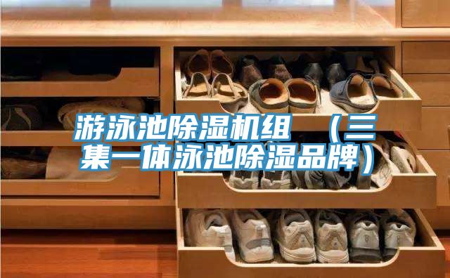 遊泳池草莓污视频在线看組 （三集一體泳池除濕品牌）