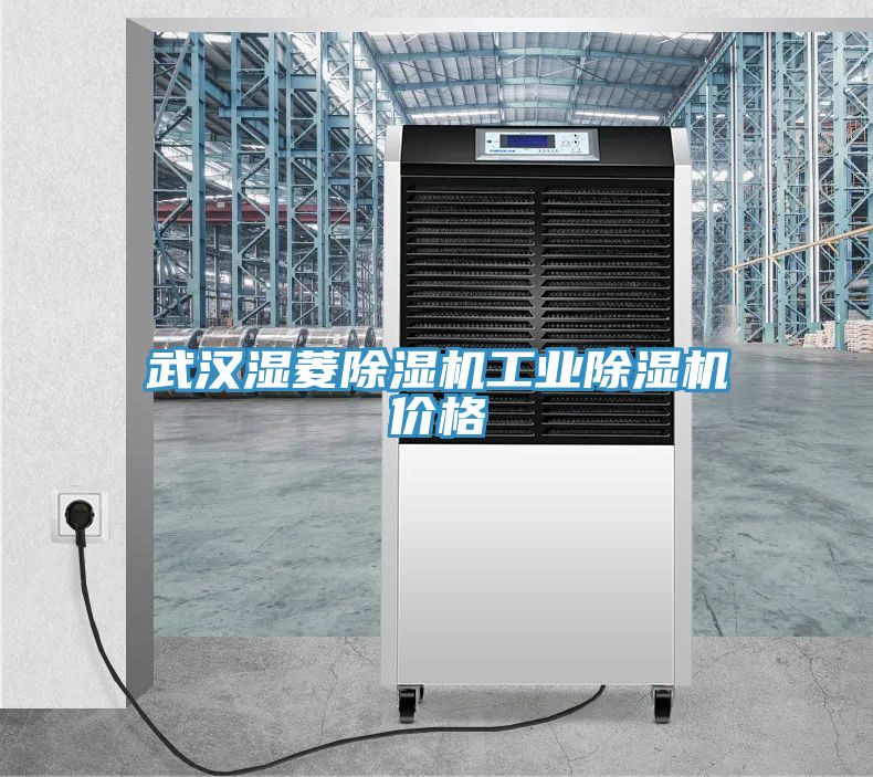 武漢濕菱草莓污视频在线看工業草莓污视频在线看價格