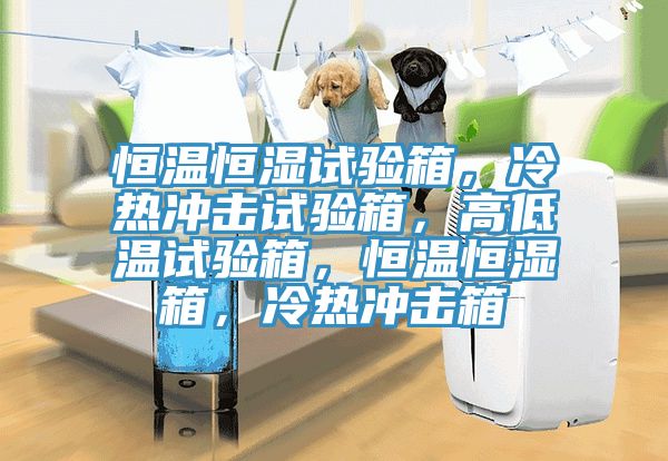 恒溫恒濕試驗箱，冷熱衝擊試驗箱，高低溫試驗箱，恒溫恒濕箱，冷熱衝擊箱