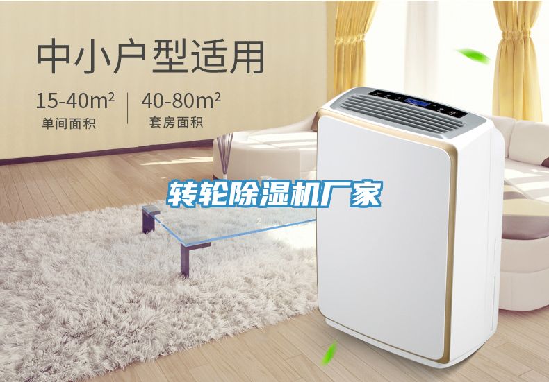 轉輪草莓污视频在线看廠家