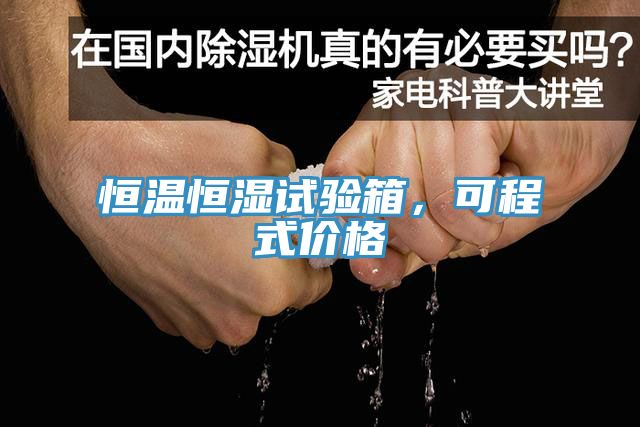 恒溫恒濕試驗箱，可程式價格