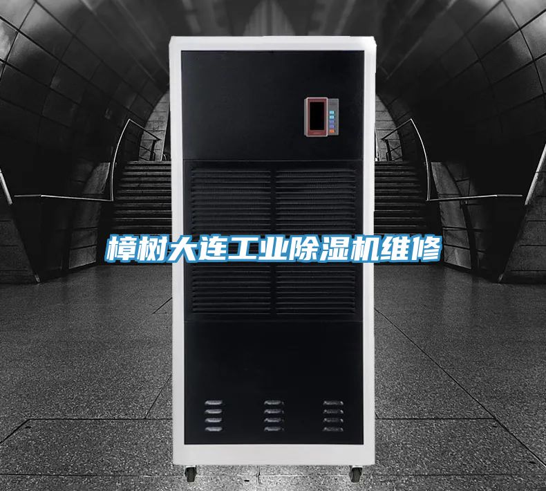 樟樹大連工業草莓污视频在线看維修