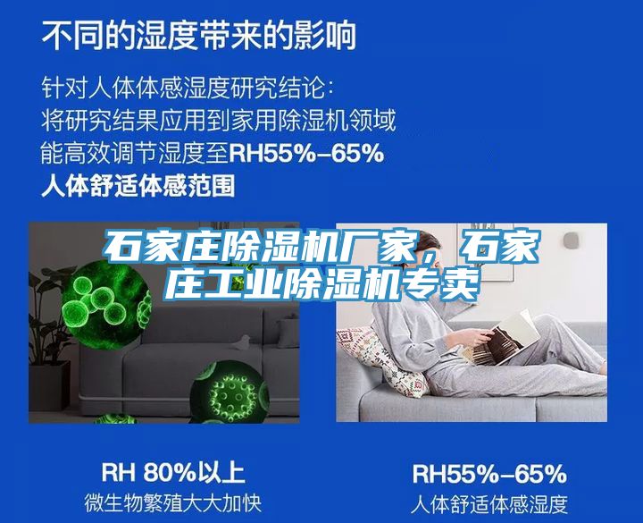 石家莊草莓污视频在线看廠家，石家莊工業草莓污视频在线看專賣