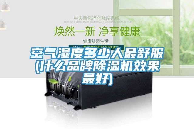 空氣濕度多少人最舒服(什麽品牌草莓污视频在线看效果最好)