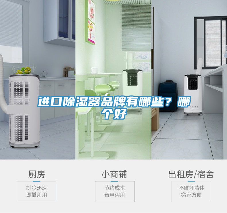 進口除濕器品牌有哪些？哪個好