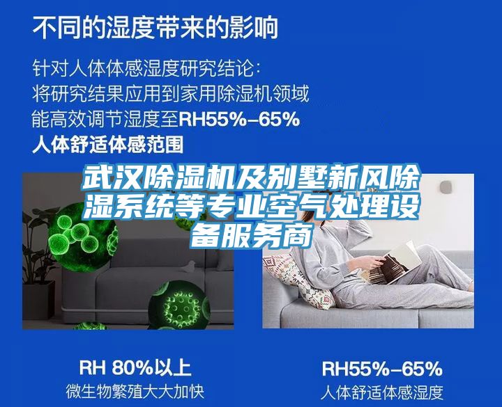 武漢草莓污视频在线看及別墅新風除濕係統等專業空氣處理設備服務商
