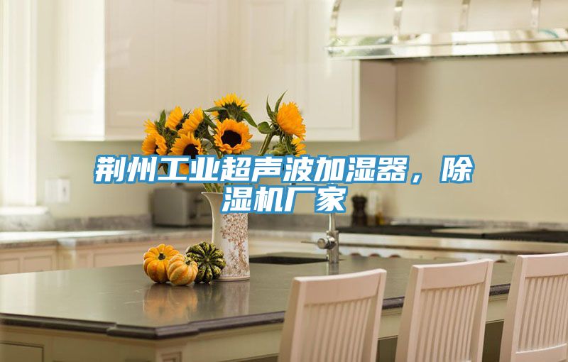 荊州工業超聲波加濕器，草莓污视频在线看廠家