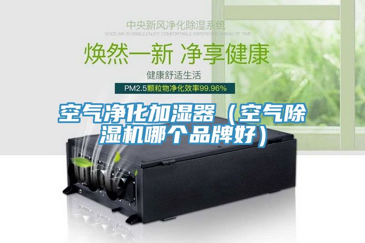 空氣淨化加濕器（空氣草莓污视频在线看哪個品牌好）