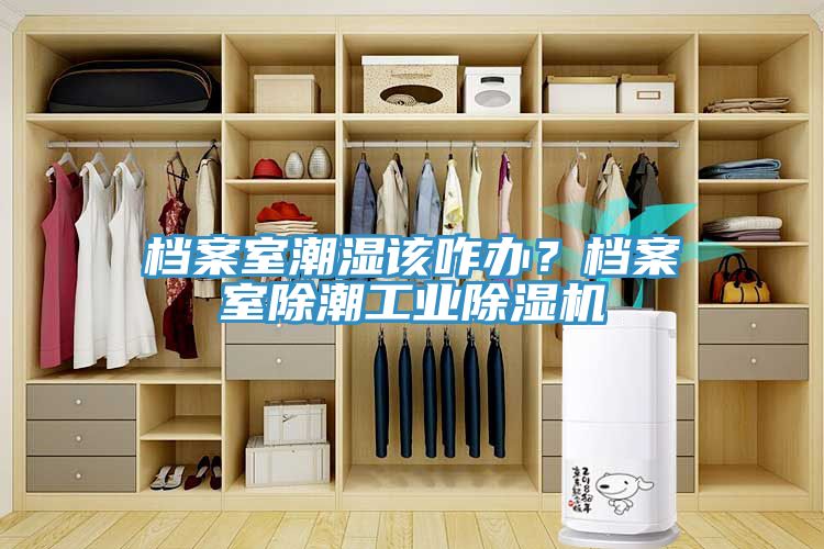 檔案室潮濕該咋辦？檔案室除潮工業草莓污视频在线看