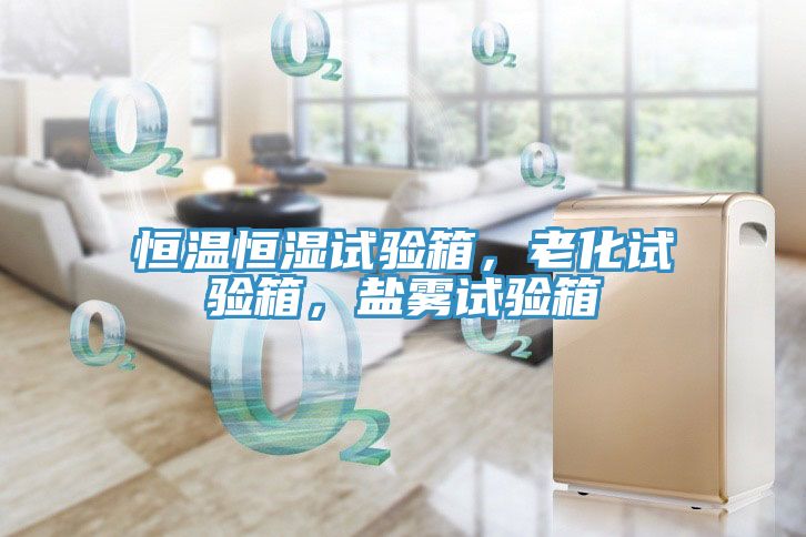 恒溫恒濕試驗箱，老化試驗箱，鹽霧試驗箱
