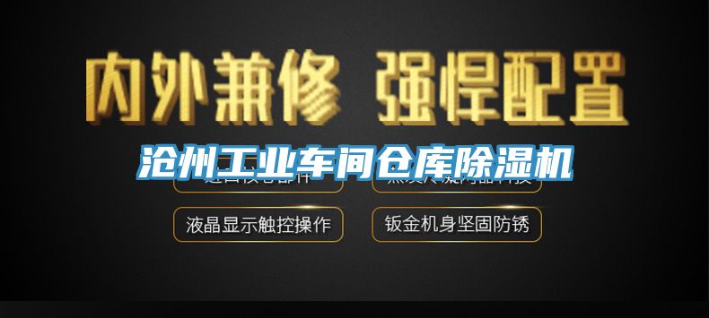 滄州工業車間倉庫草莓污视频在线看