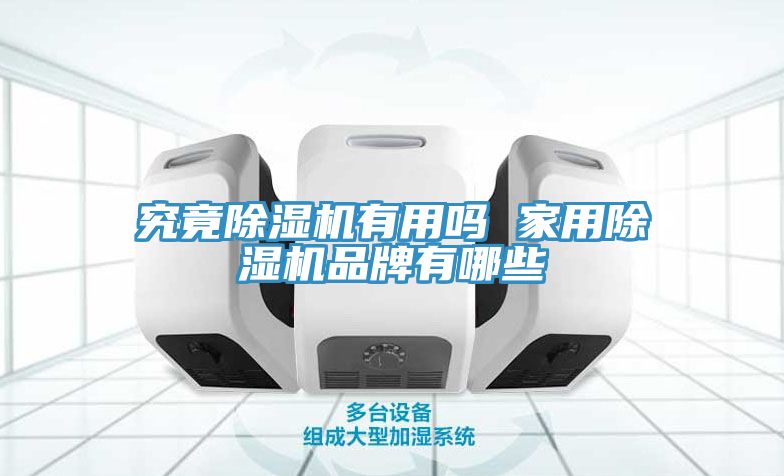 究竟草莓污视频在线看有用嗎 家用草莓污视频在线看品牌有哪些