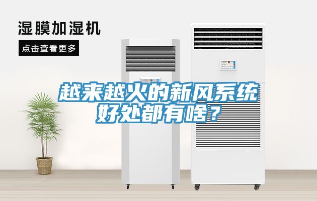 越來越火的新風係統好處都有啥？