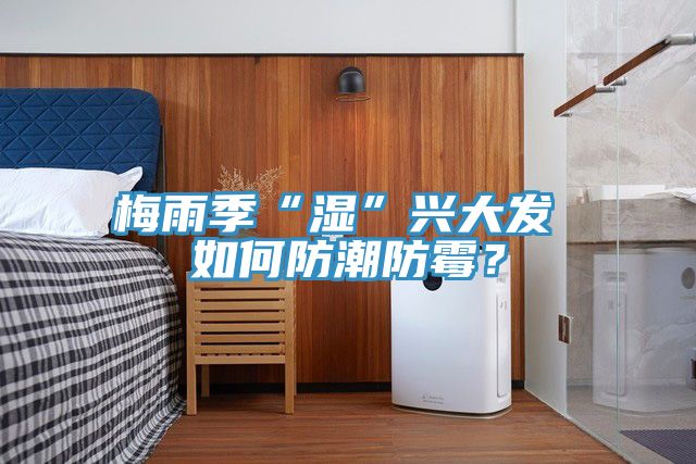 梅雨季“濕”興大發 如何防潮防黴？