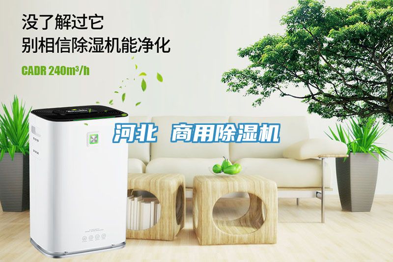河北 商用草莓污视频在线看