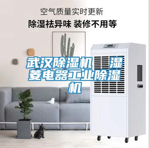 武漢草莓污视频在线看  濕菱電器工業草莓污视频在线看