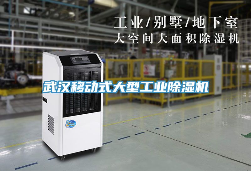 武漢移動式大型工業草莓污视频在线看