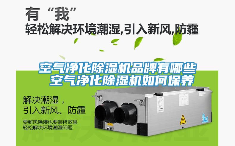 空氣淨化草莓污视频在线看品牌有哪些 空氣淨化草莓污视频在线看如何保養