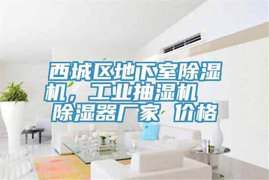 西城區地下室草莓污视频在线看，工業抽濕機  除濕器廠家 價格