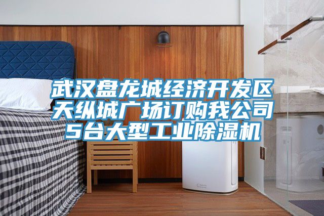 武漢盤龍城經濟開發區天縱城廣場訂購我公司5台大型工業草莓污视频在线看