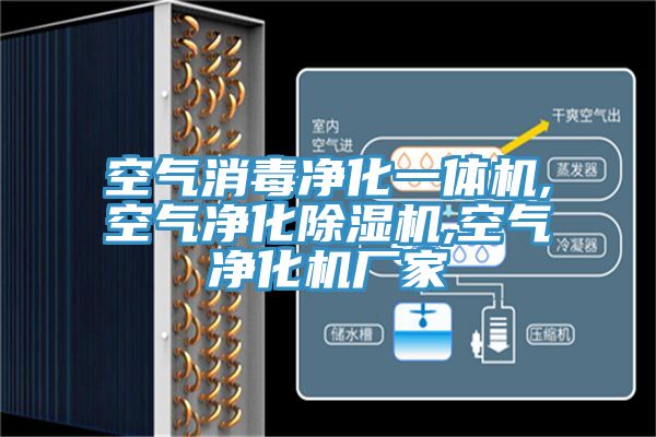 空氣消毒淨化一體機,空氣淨化草莓污视频在线看,空氣淨化機廠家