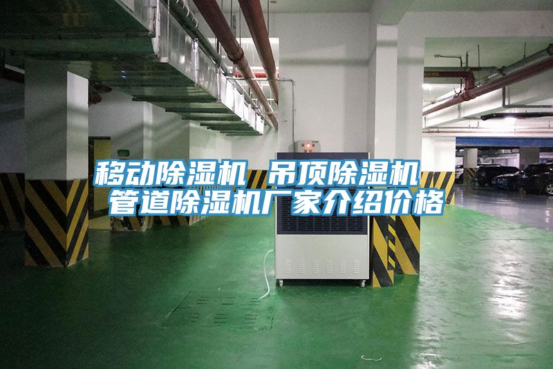 移動草莓污视频在线看 吊頂草莓污视频在线看  管道草莓污视频在线看廠家介紹價格