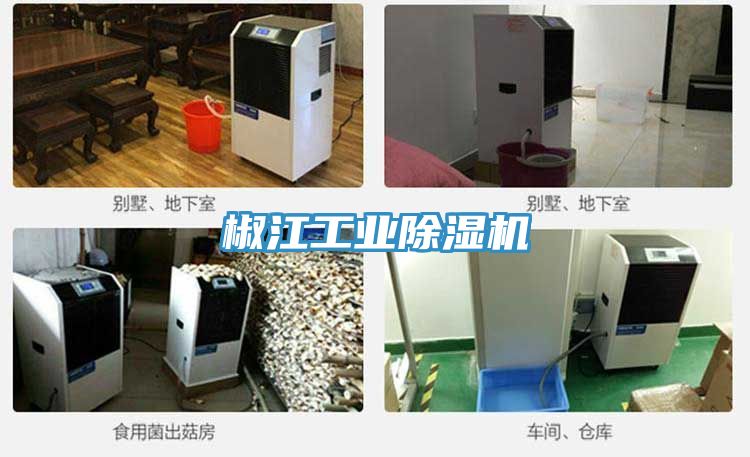椒江工業草莓污视频在线看