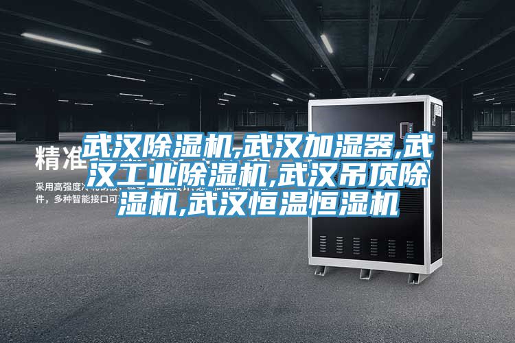 武漢草莓污视频在线看,武漢加濕器,武漢工業草莓污视频在线看,武漢吊頂草莓污视频在线看,武漢恒溫恒濕機