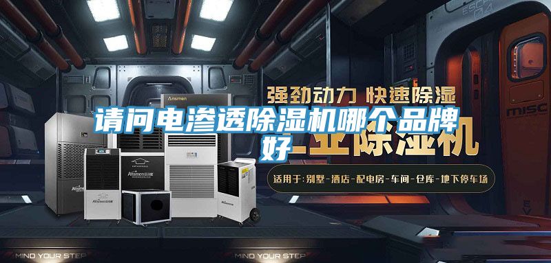 請問電滲透草莓污视频在线看哪個品牌好