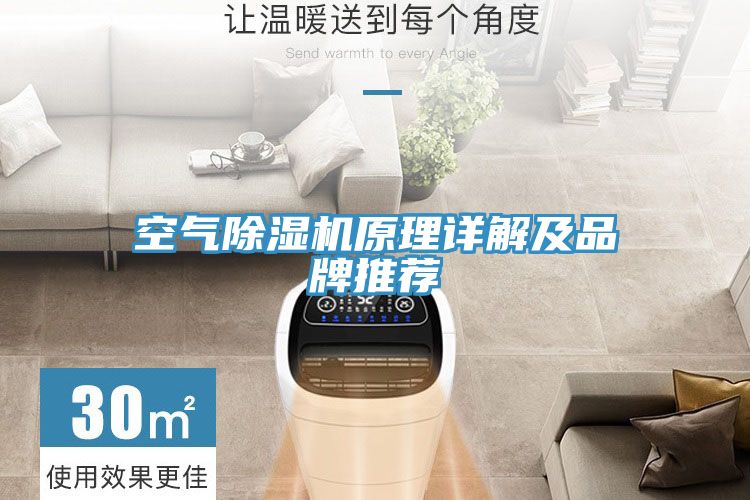 空氣草莓污视频在线看原理詳解及品牌推薦