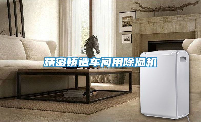 精密鑄造車間用草莓污视频在线看