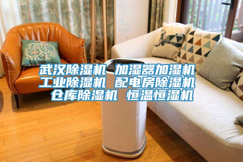 武漢草莓污视频在线看 加濕器加濕機 工業草莓污视频在线看 配電房草莓污视频在线看 倉庫草莓污视频在线看 恒溫恒濕機