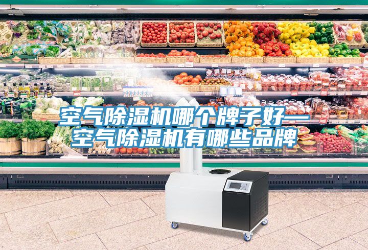 空氣草莓污视频在线看哪個牌子好—空氣草莓污视频在线看有哪些品牌
