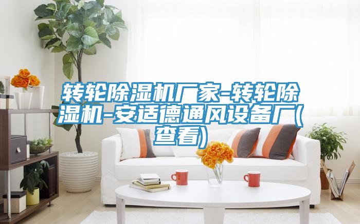 轉輪草莓污视频在线看廠家-轉輪草莓污视频在线看-安適德通風設備廠(查看)
