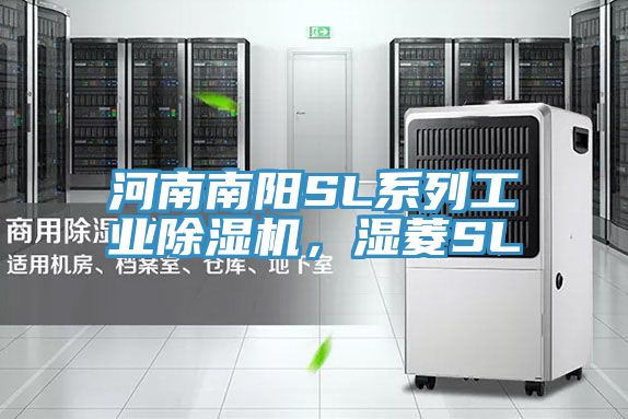 河南南陽SL係列工業草莓污视频在线看，濕菱SL
